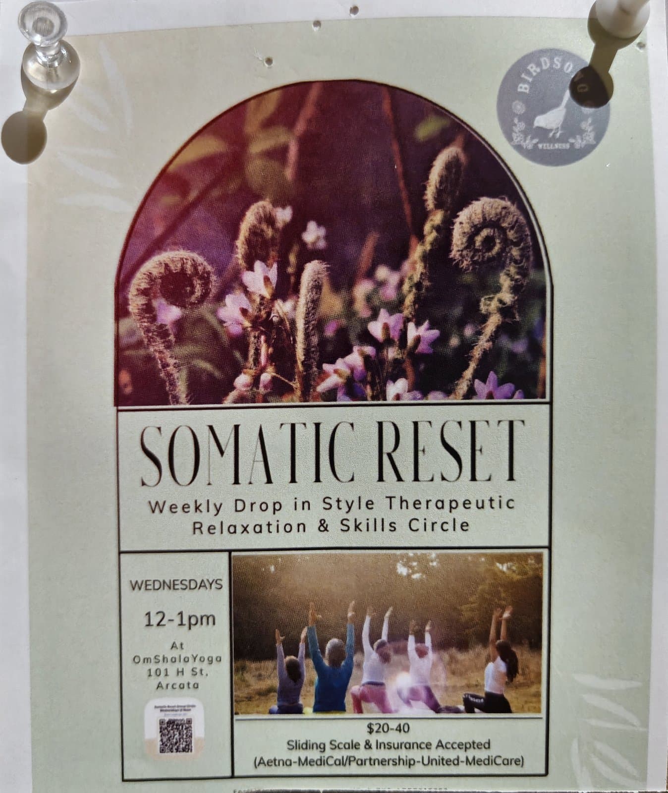 Flyer for Somatic Reset