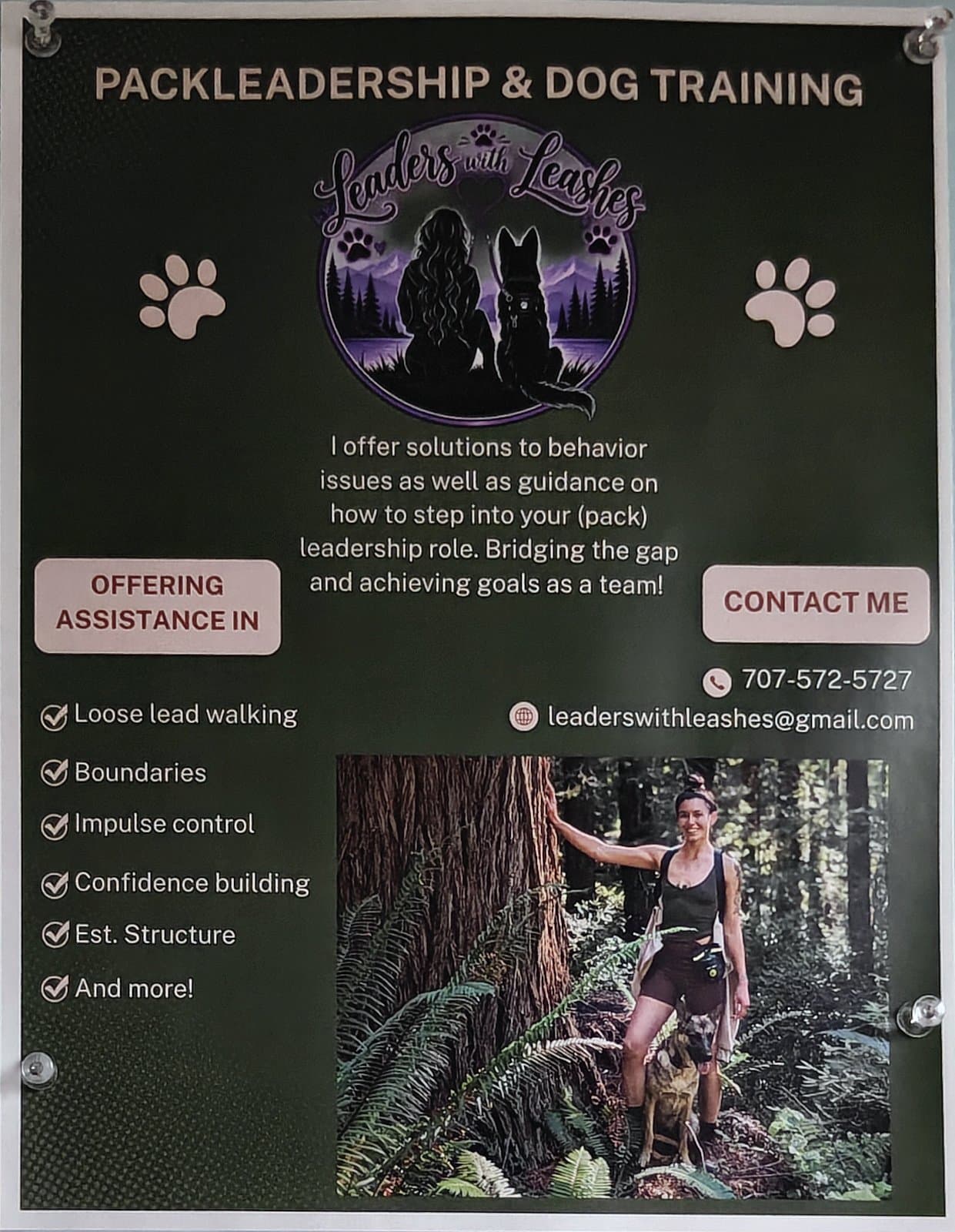Flyer for Packleadership & Dog Training